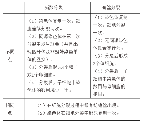 生物有丝分裂与减数分裂的相同点和不同点_3