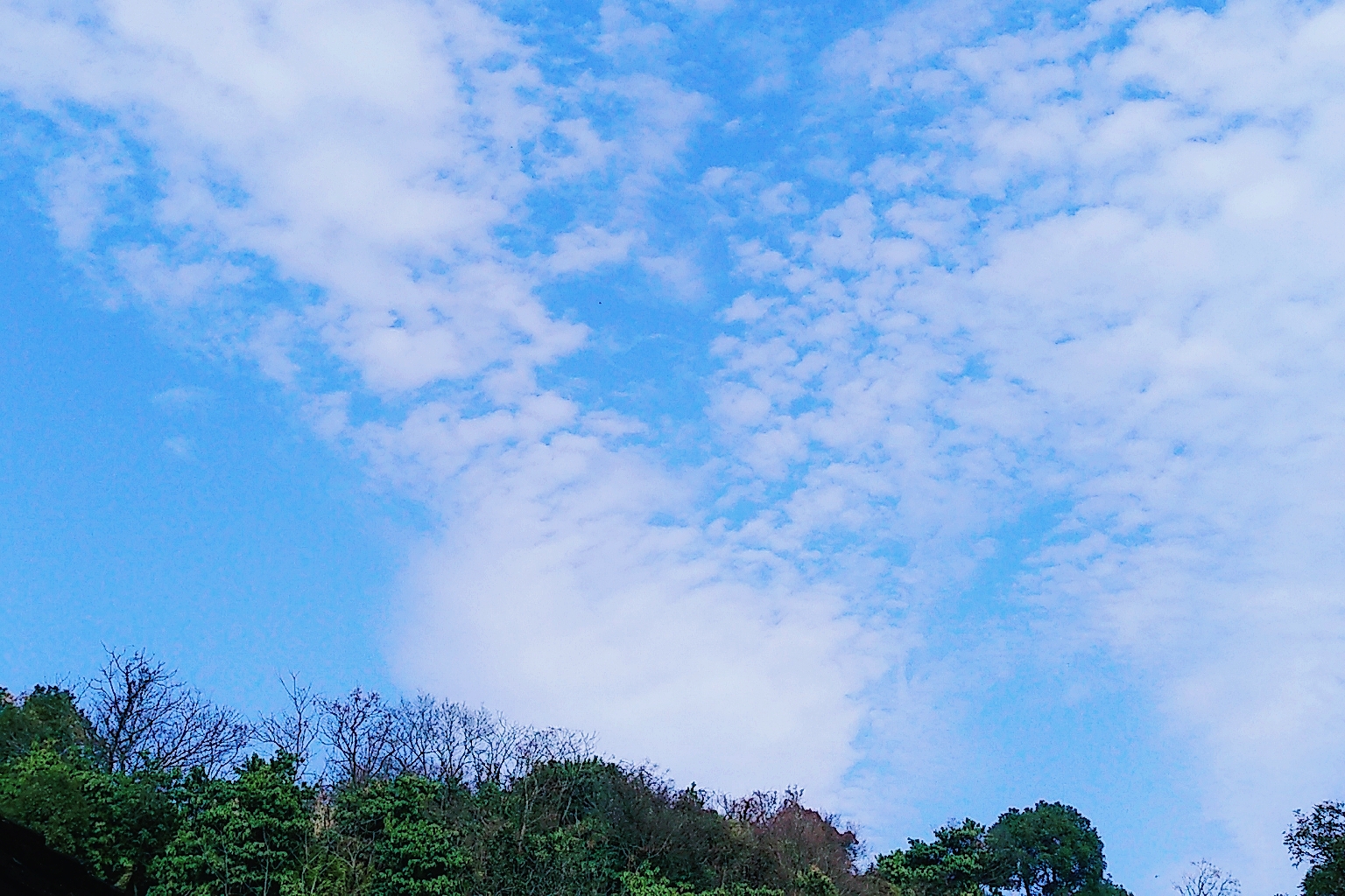 梦想天空分外蓝简谱_梦想天空分外蓝(3)