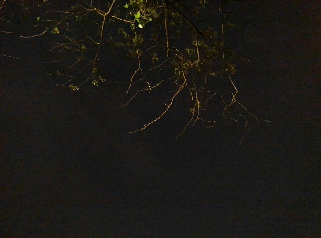 喜欢一个人走在夜里静静的等待份天黑以后的寂静一个人也没有的小区