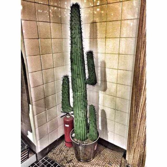 这个照片是用什么软件或者APP修出来的呀?感