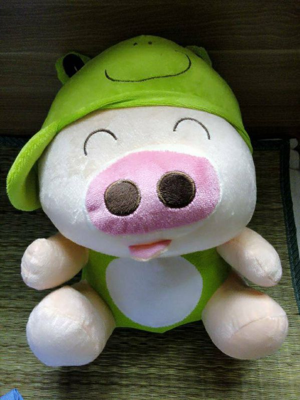 求好心人救急!成都东站到宜宾28日还有汽车票