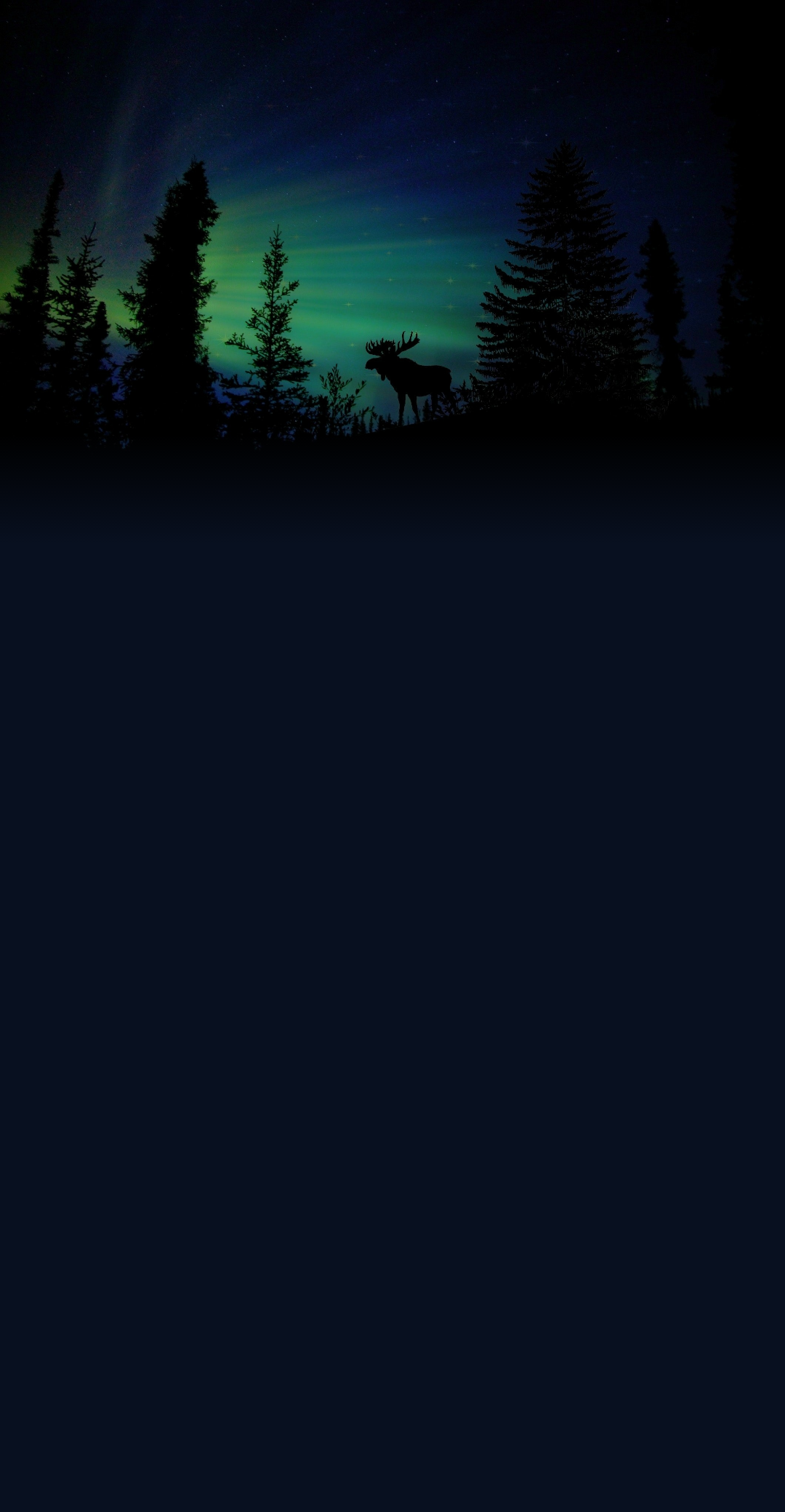 t016d88177bba376016.png