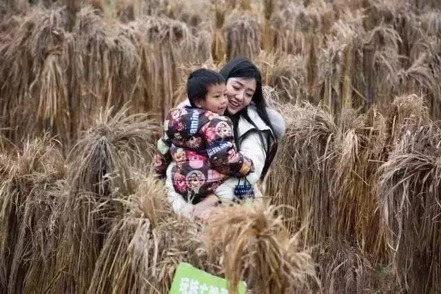 360社区
