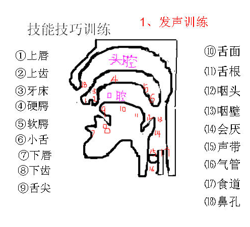 中班音乐教案迷路的小花鸭_中班音乐教案库奇奇_中班音乐的教案怎么写