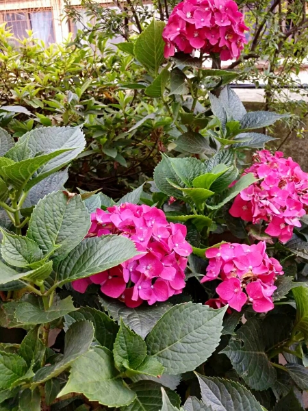 t01820358b6b8445842.jpg