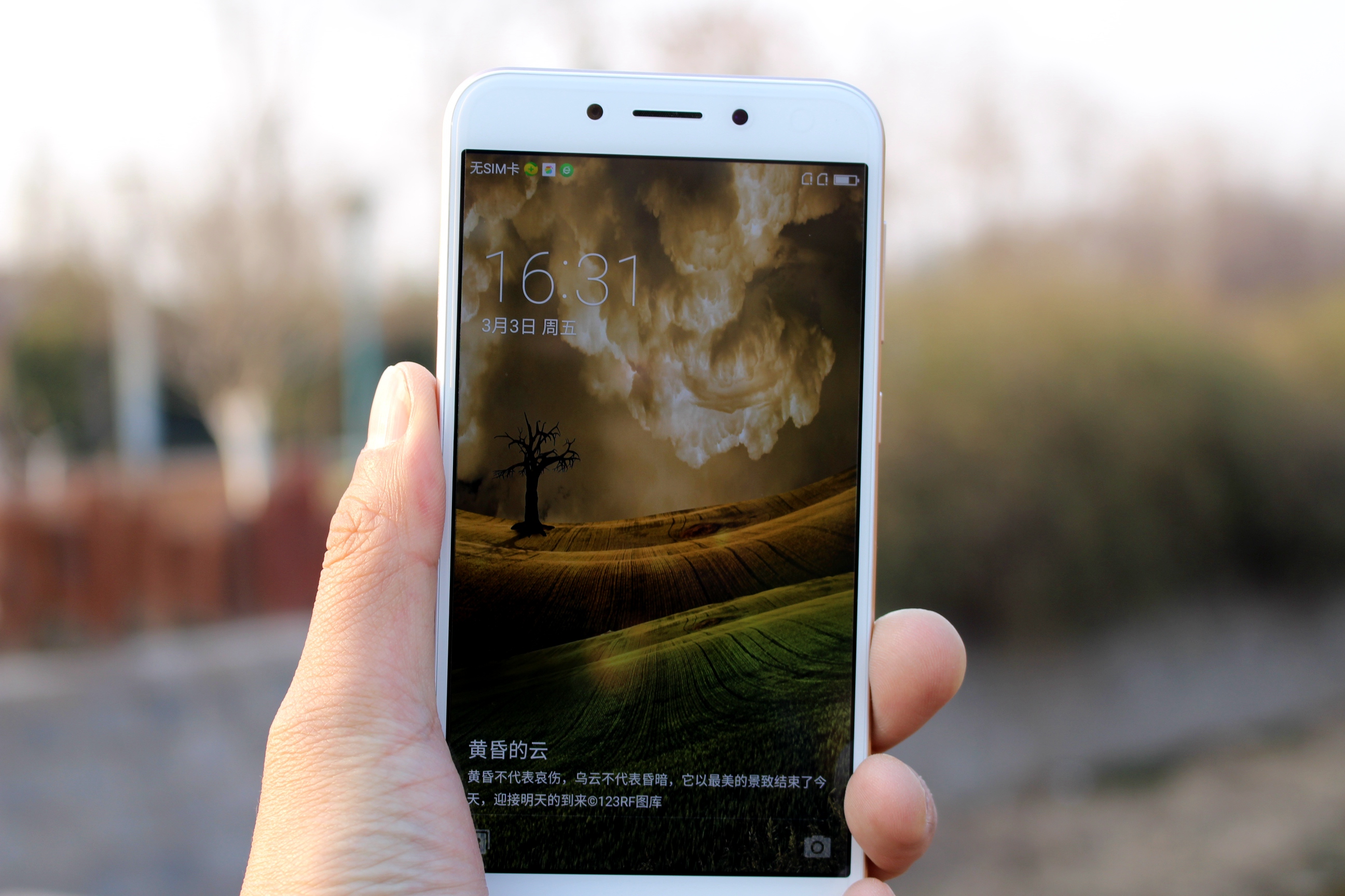 t0190de8eaab93b5a18.jpg