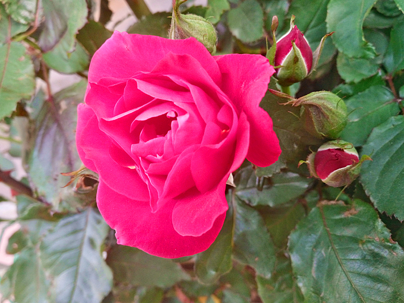 t019acd5d773e30272c.jpg