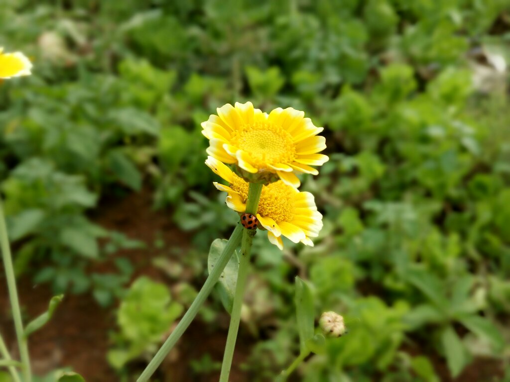 t01a2d917810071654e.jpg