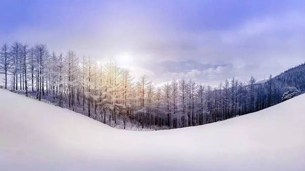 《终南望余雪》 祖咏  终南阴岭秀,积雪浮云端.