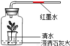 1.gif