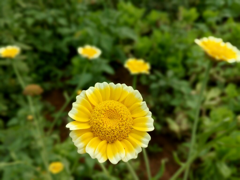 t01c042cb94d2deee88.jpg