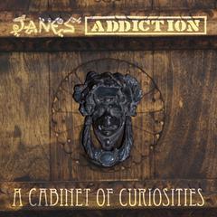 a cabinet of curiosities