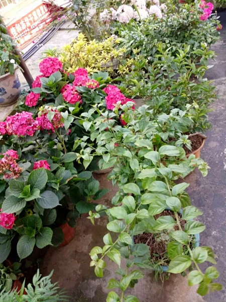 t01de9513de97311314.jpg