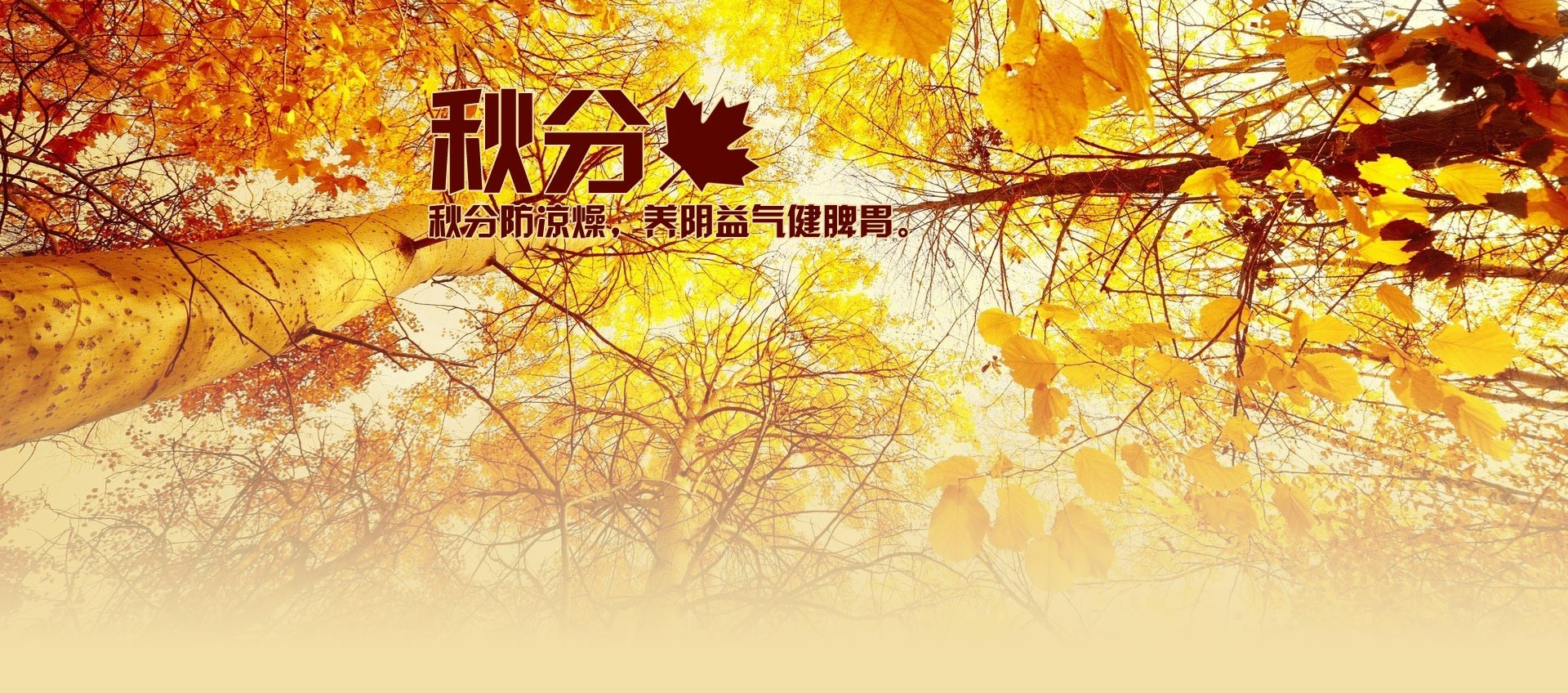 秋分养生