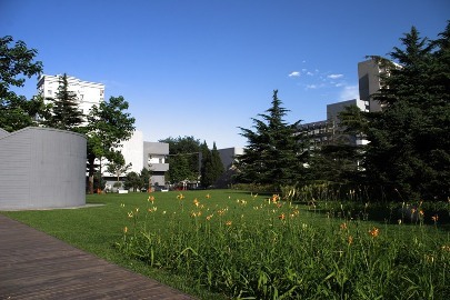 北京电影学院图片