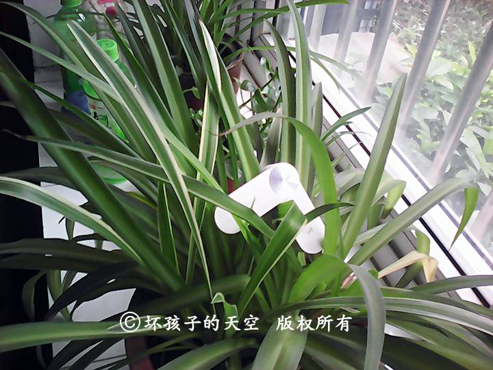 360社区