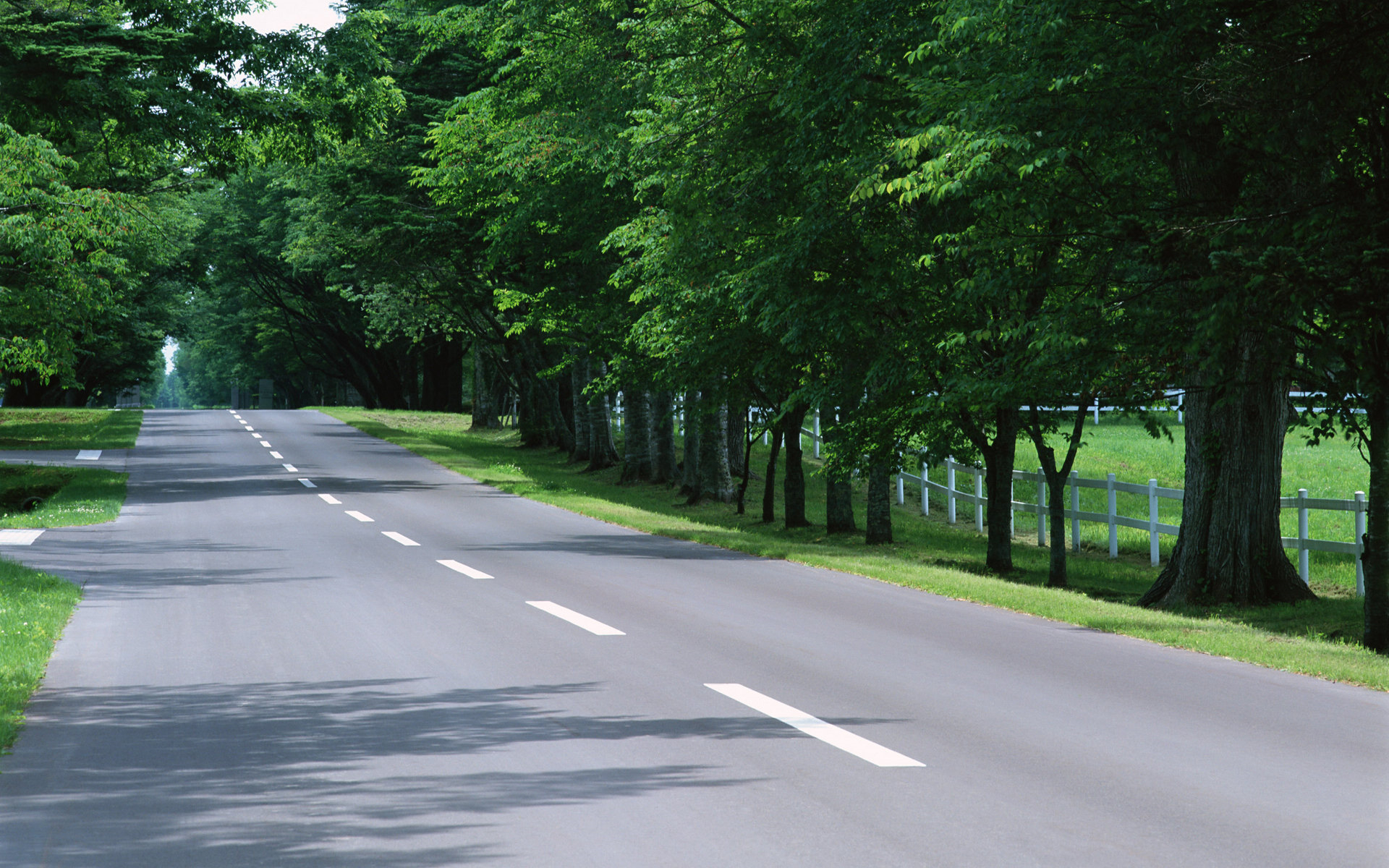 乡村滨河道路断面图