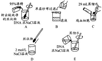 回答下列有关DNA的粗提取与鉴定实验的问题