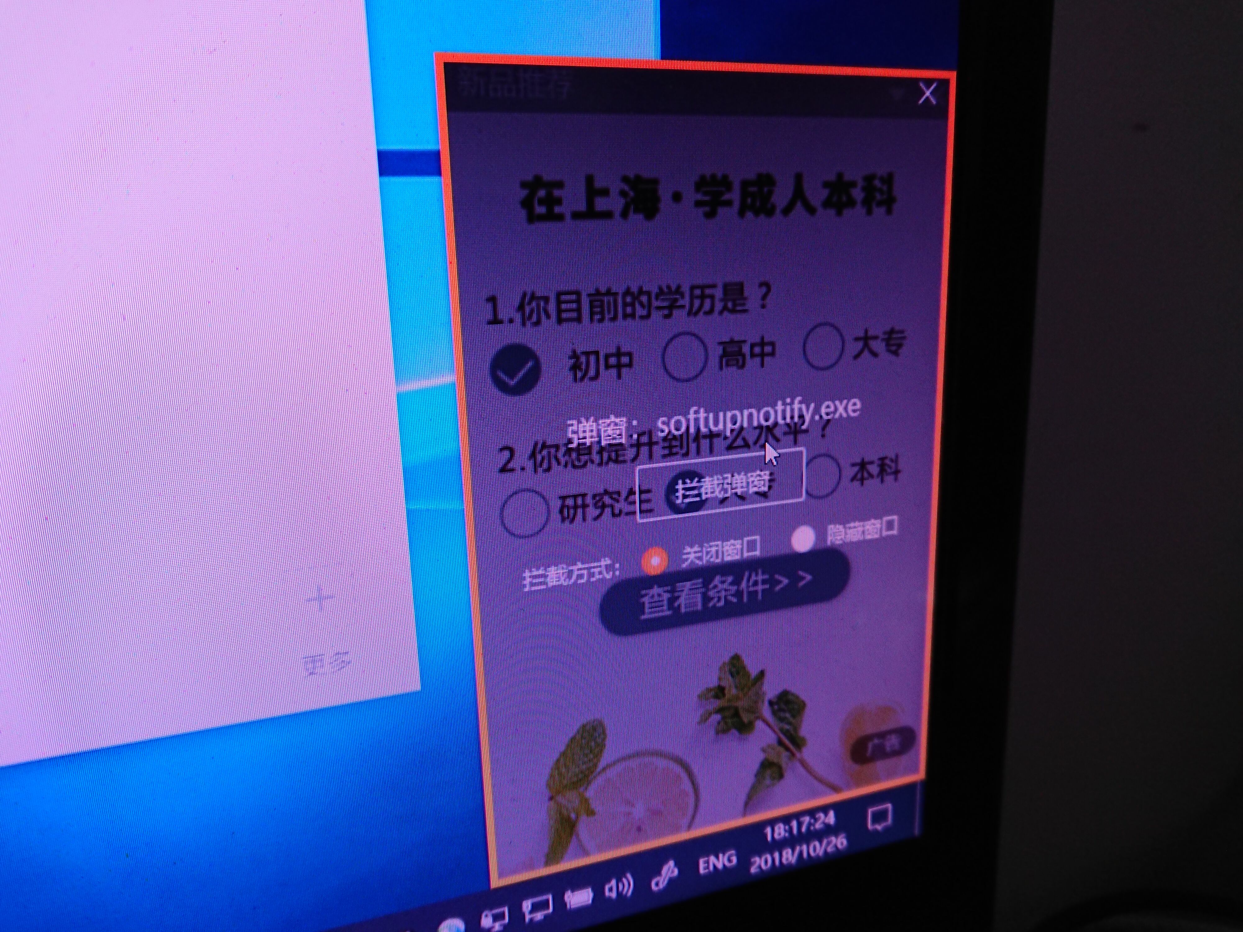 奇虎360 搜索引擎项目_360安全卫士弹窗广告拦截_奇虎360搜索部