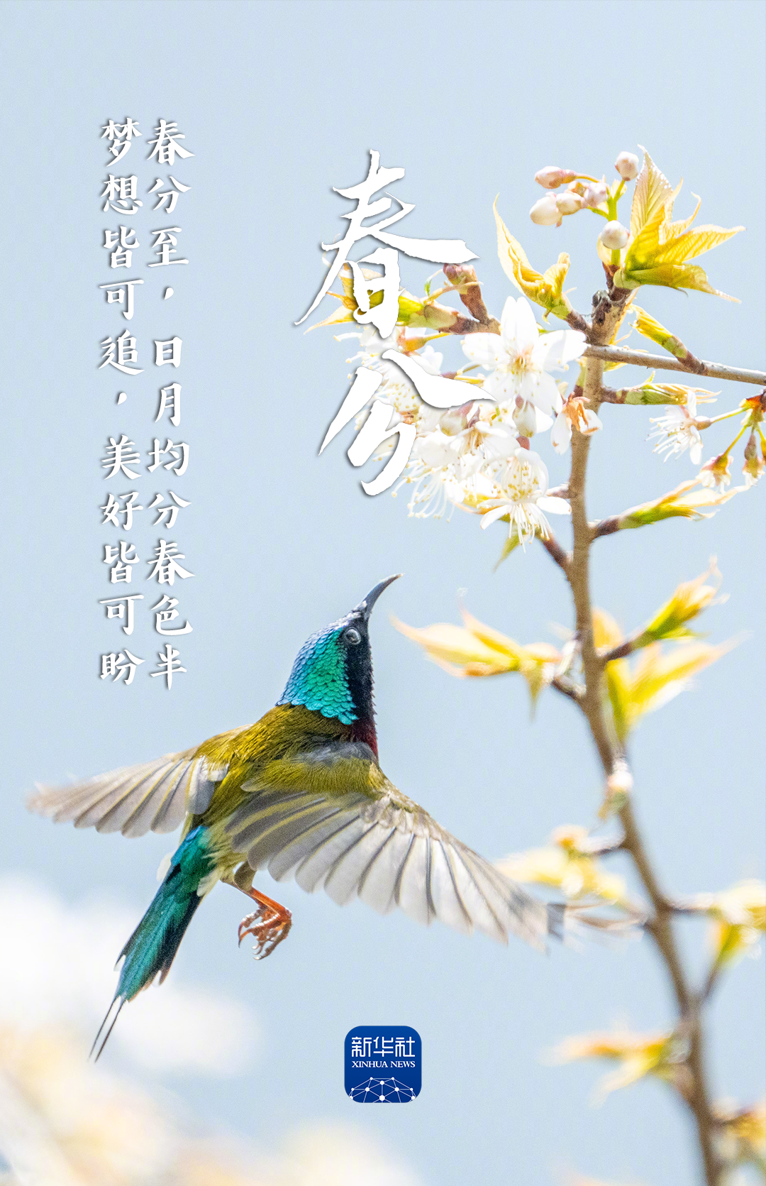 360社区