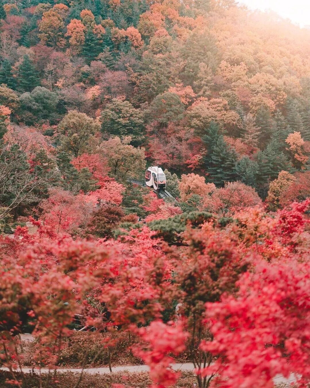 360社区