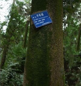 压板加工行业的最新发展与挑战