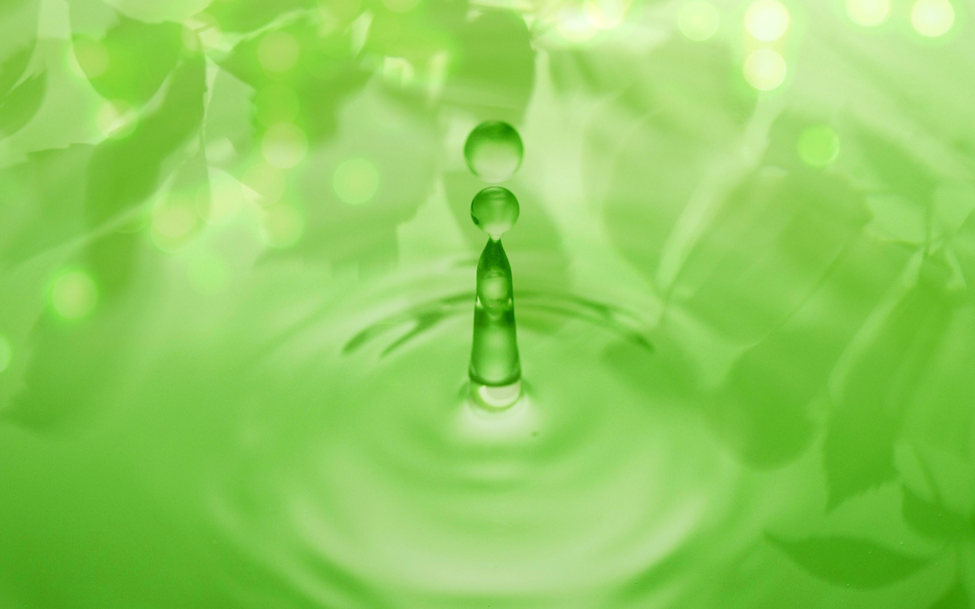 初夏里的那抹浅绿