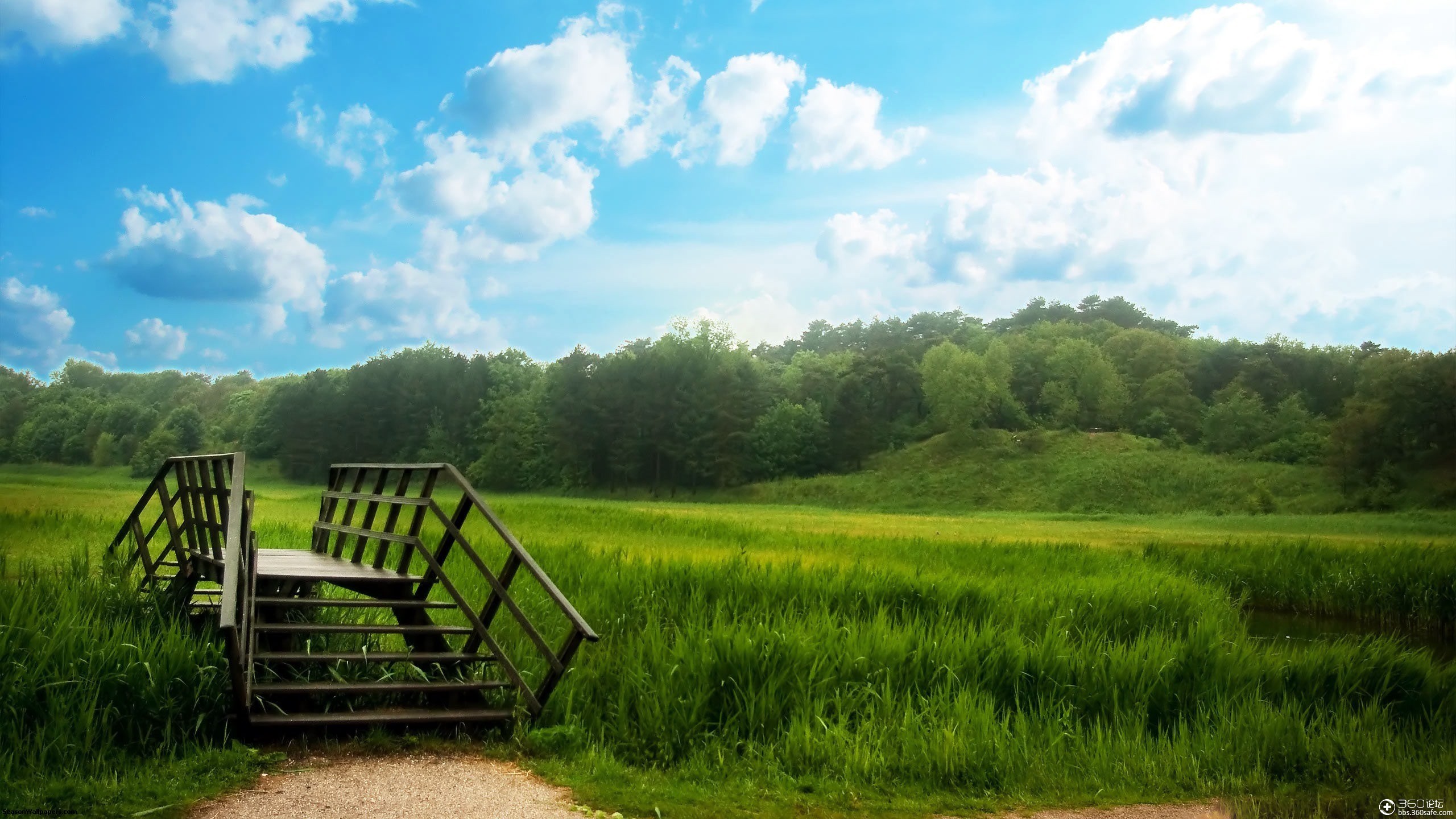 wooden-bridge-and-green-meadow-in-front-of-a-forest-under-a-blue