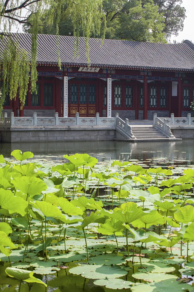 清华,好妙一大学