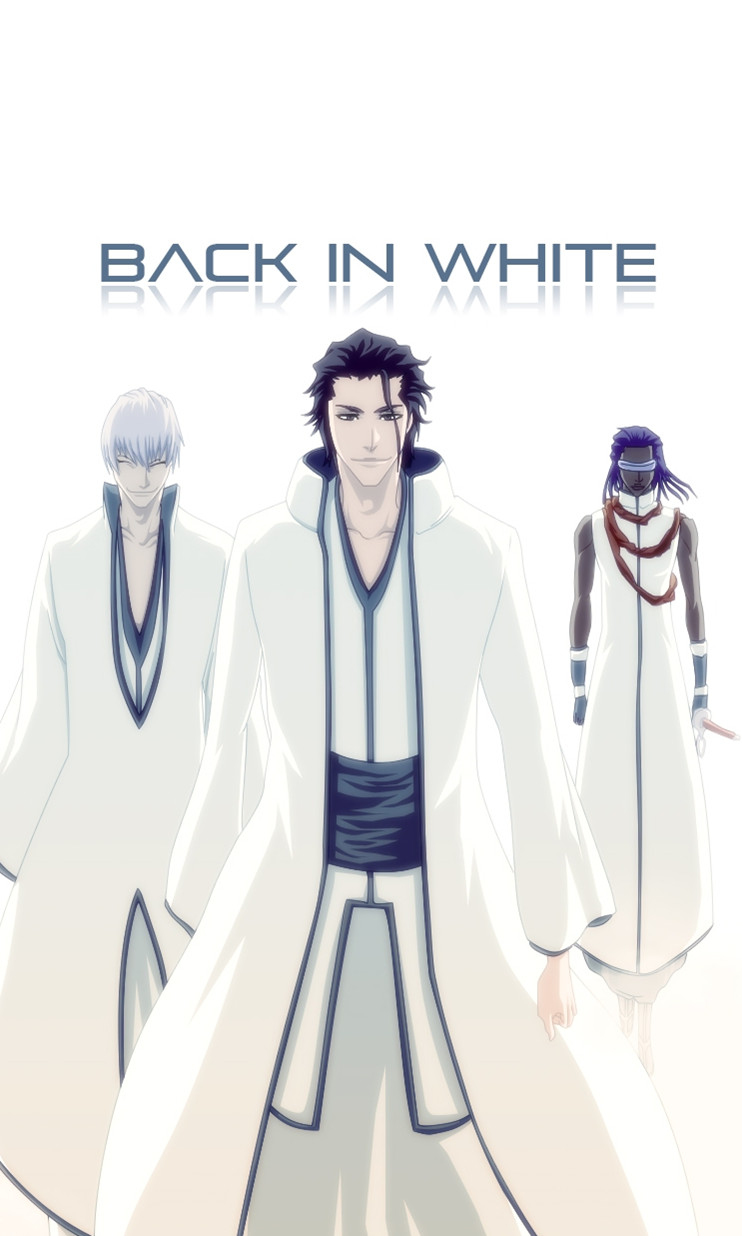 死神bleach 喜欢的收 3