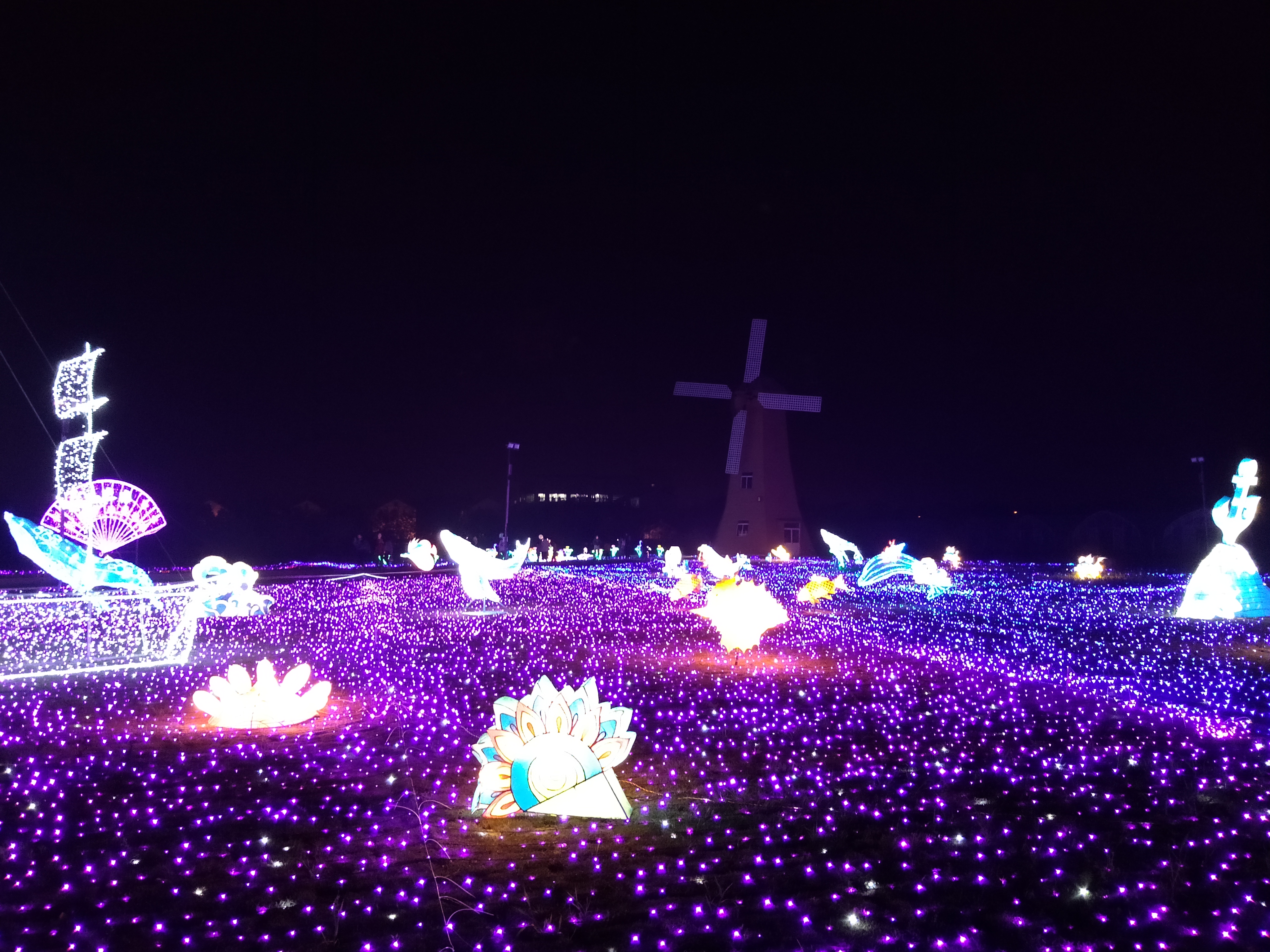 灯光节随手拍