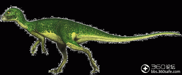 远古魅力——棱齿龙