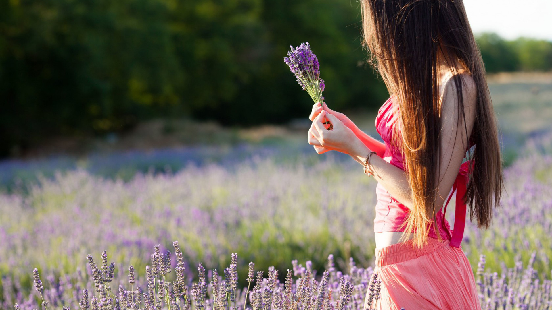 清纯可爱的美女电脑桌面壁纸