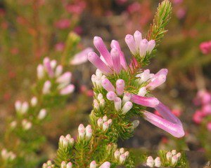 12月22日生日密码