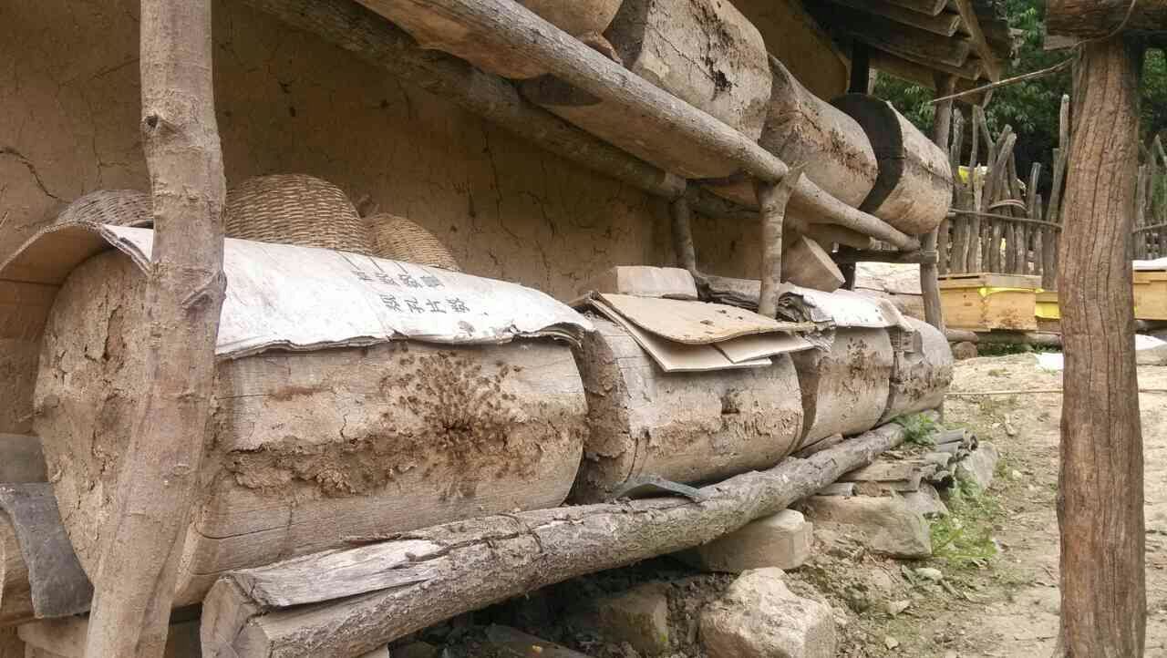 土洞养蜂要怎么管理 土洞养蜂要怎么管理呢