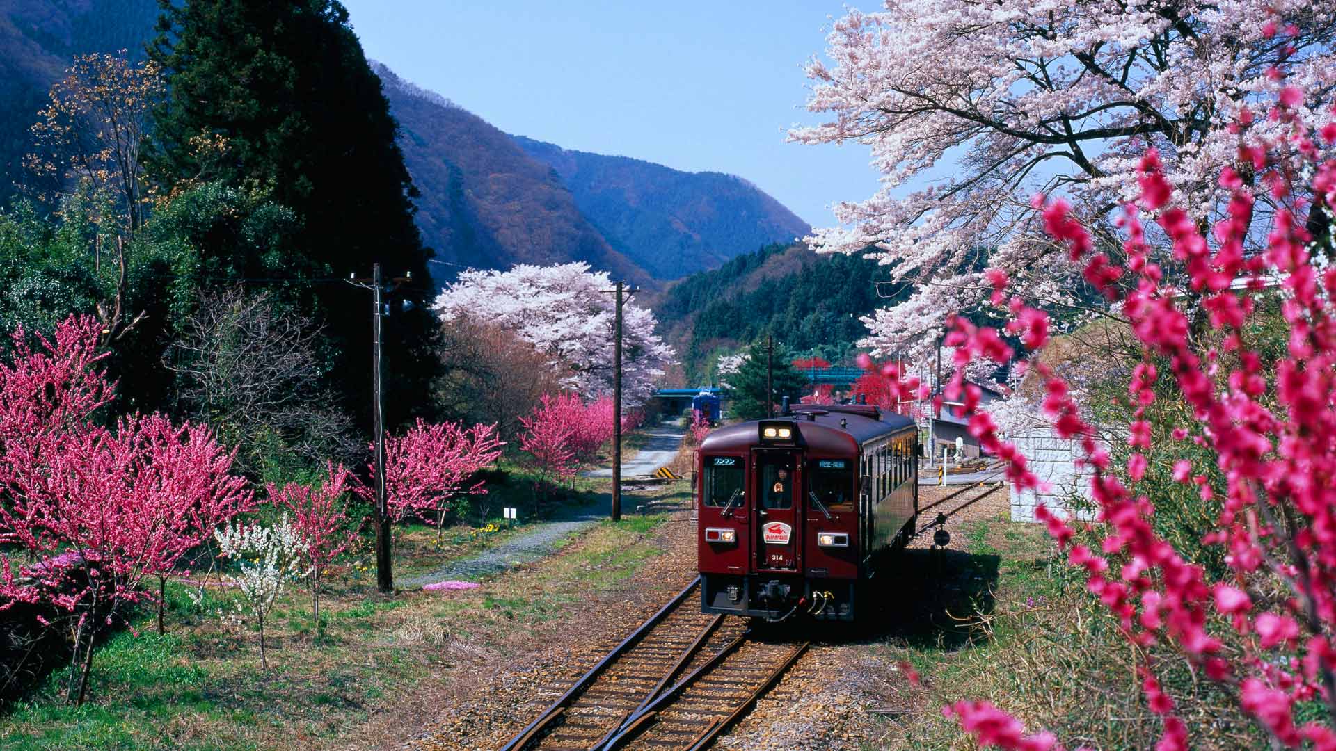 日本群馬縣的鐵路.jpg