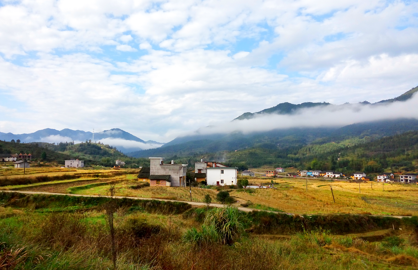 来一张老家景色