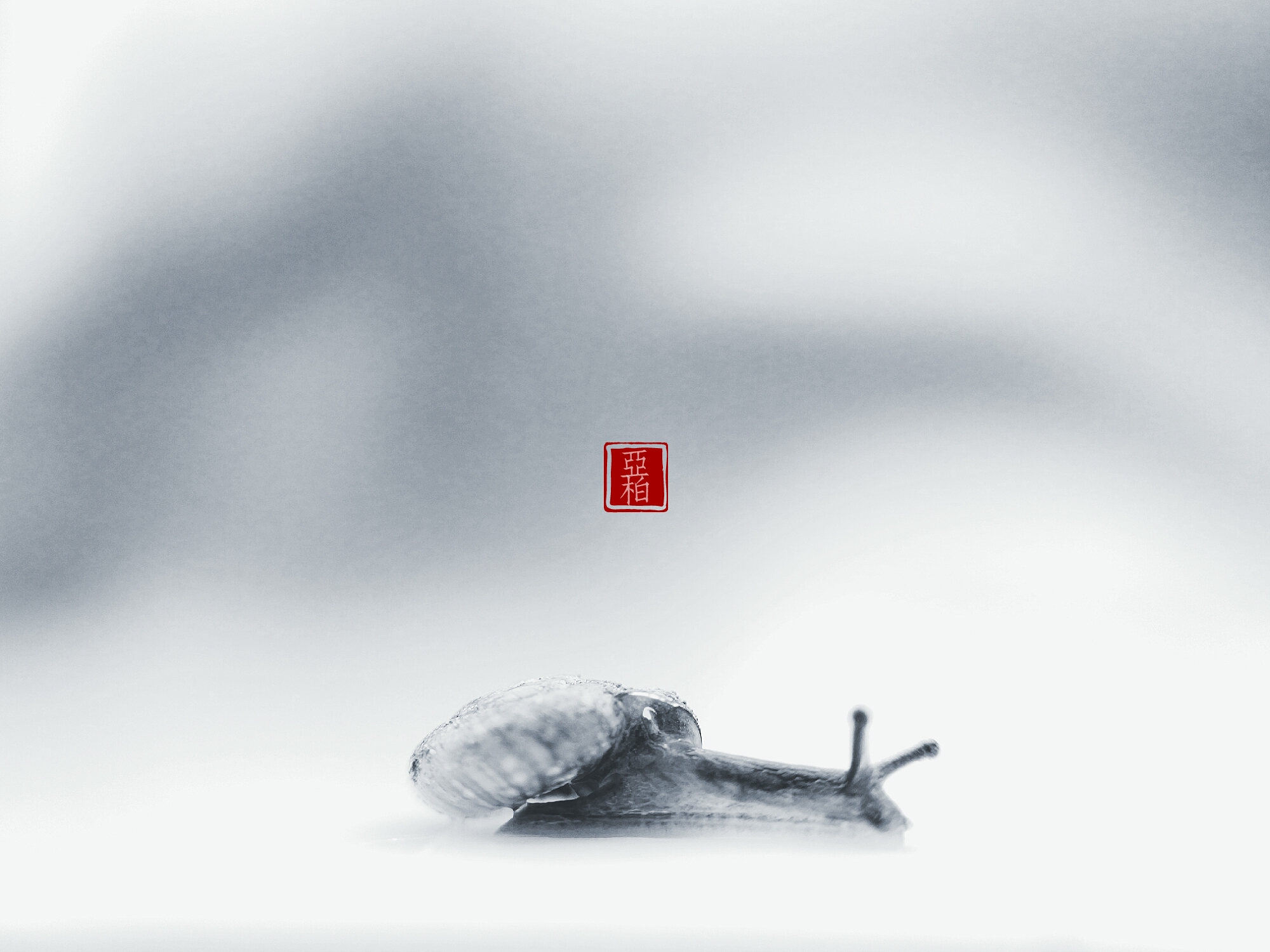 360双摄中国风水墨蜗牛