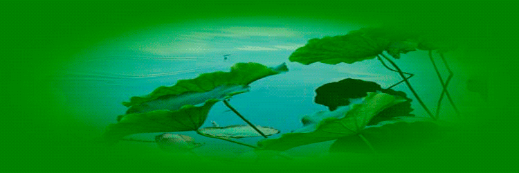 750_250gif 动态图 动图