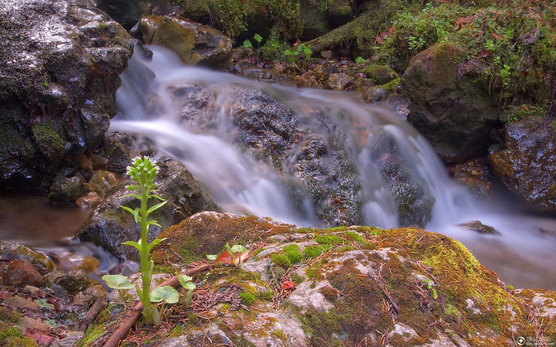 【高清壁纸】美丽梦幻风景壁纸,快来快来~_360社区