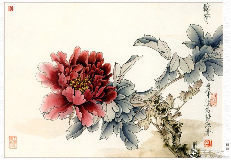 中国当代著名画家王道中工笔牡丹欣赏(1)