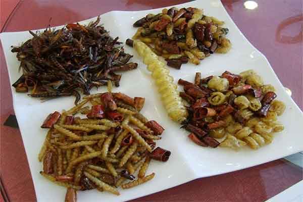 珠海美食烧禾虫