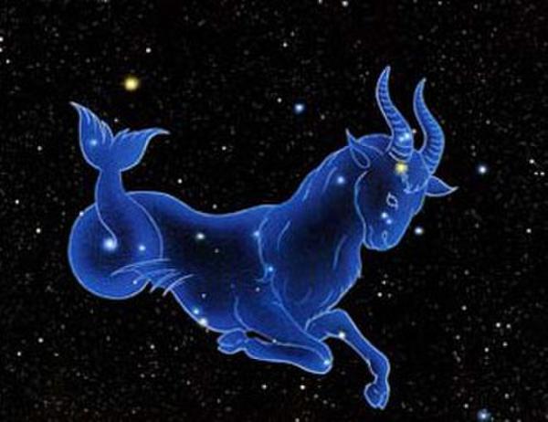 他们最重视的东西摩羯座