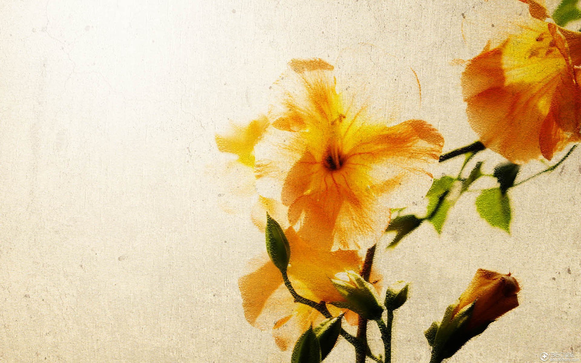 【360资源组】幽美淡雅中国风壁纸(1920x1200)