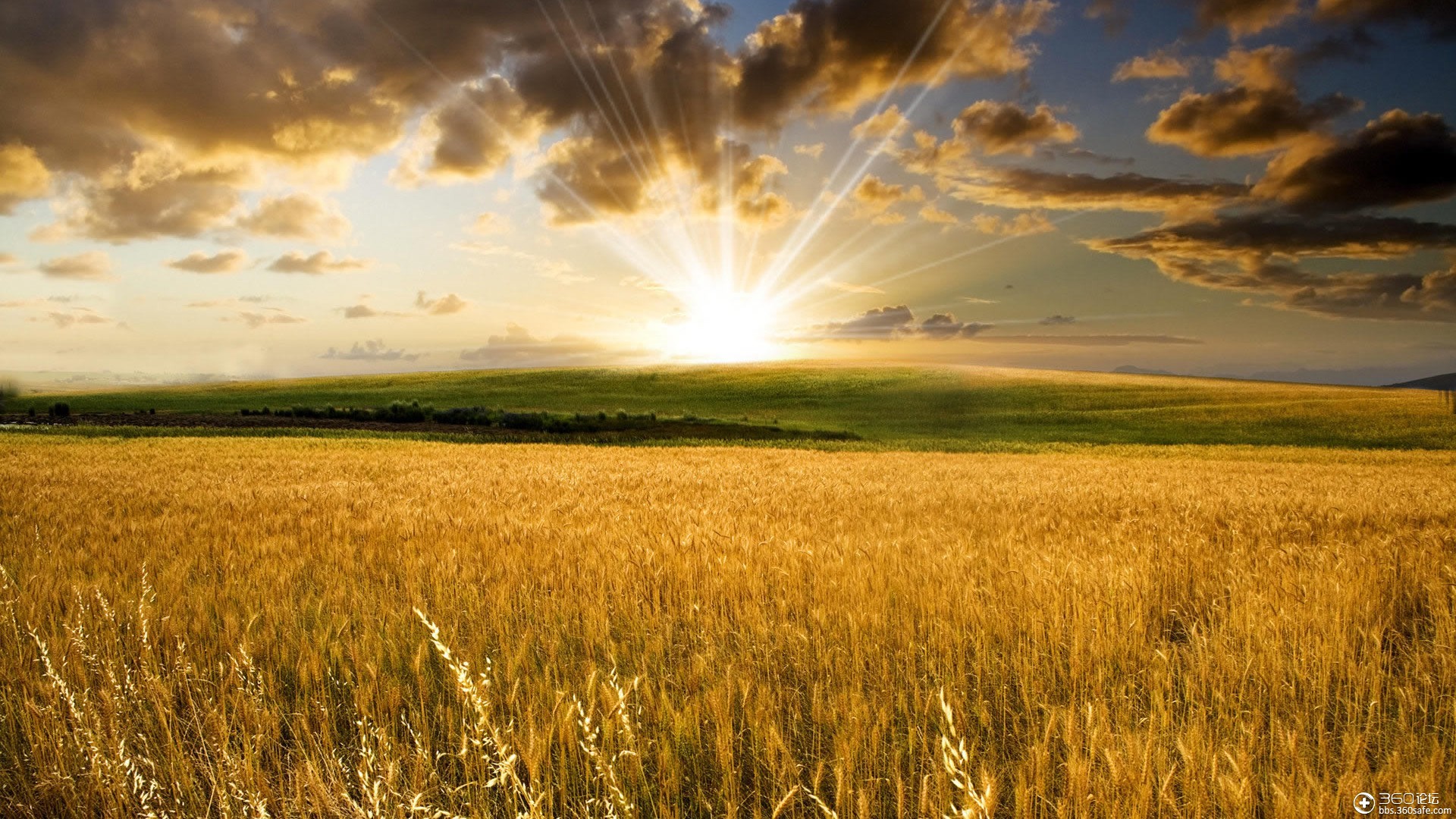 高清晰自然风光壁纸(秋)