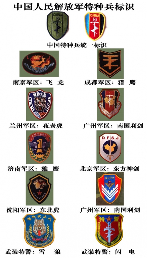 特种部队标志图案图片