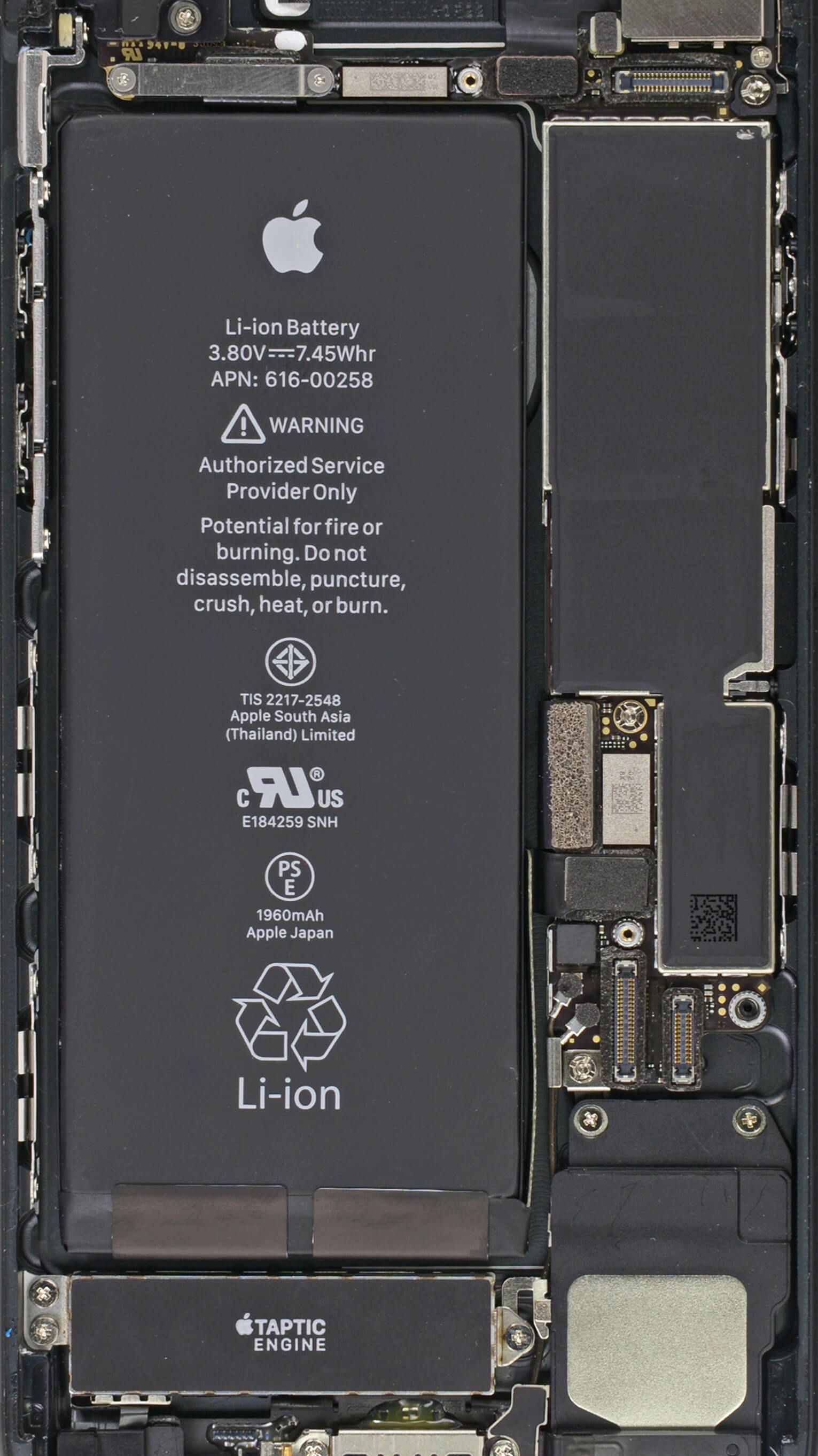 iphone7内部结构图图片