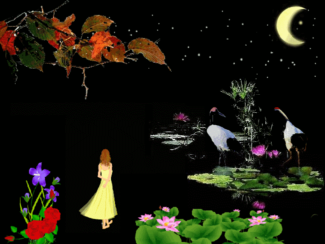 今夜等你入梦来