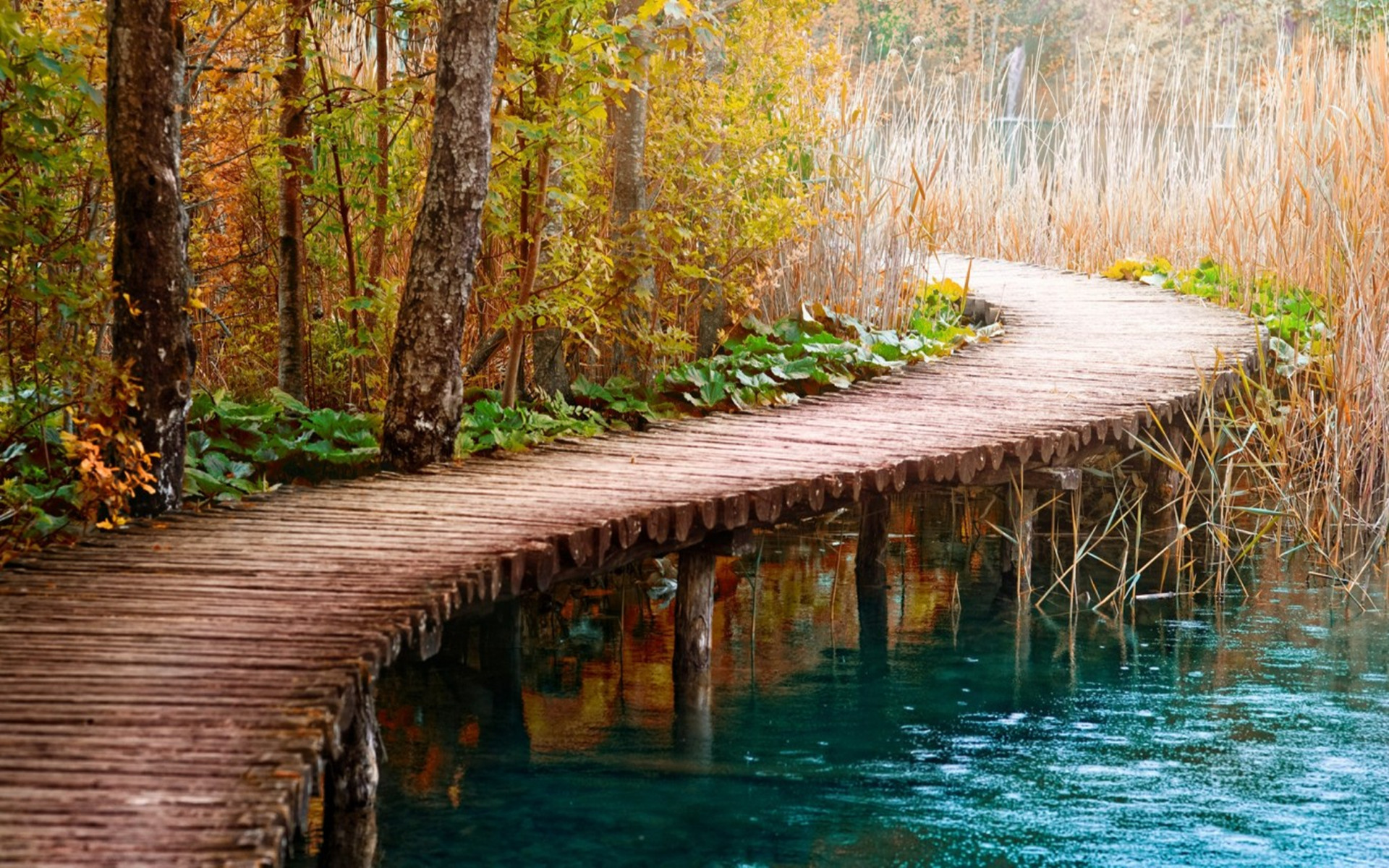 360资源组秋色连波惹人醉秋景高清壁纸1920x120034p