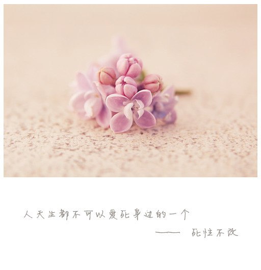 【庆五一】精美图文歌词2